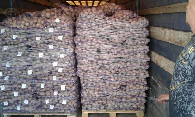 Продаем продовольственный  картофель.