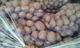 Продаем продовольственный  картофель.